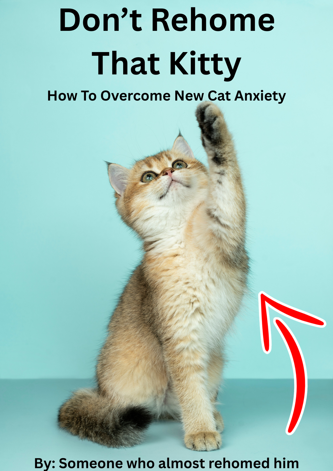 Don't Rehome That Kitty: How To Overcome New Cat Anxiety