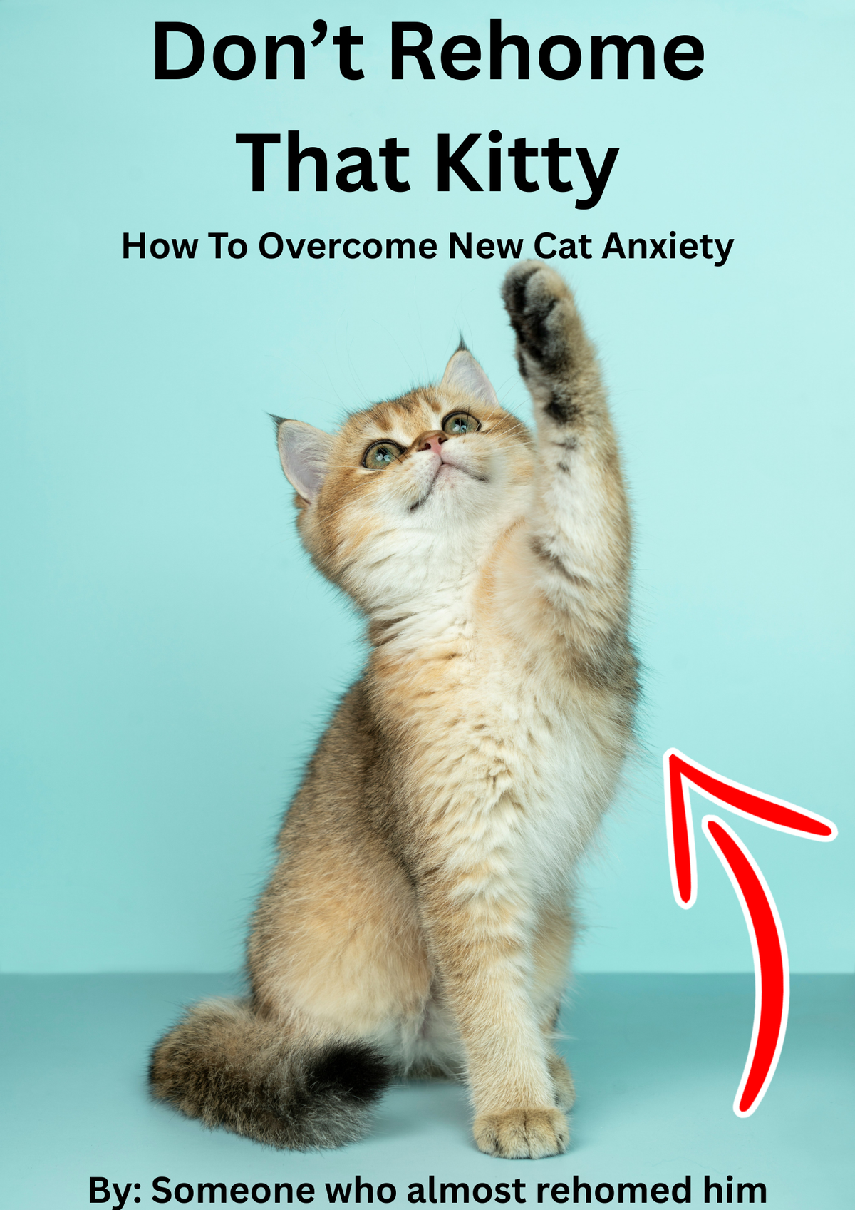 Don't Rehome That Kitty: How To Overcome New Cat Anxiety